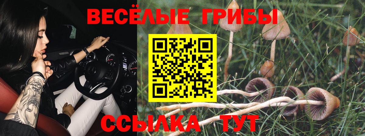 что такое   Вход с VPN  Луховицы  Псилоцибиновые грибы мицелий 